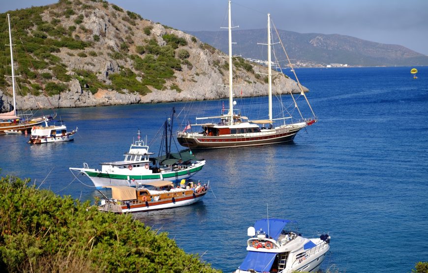 Turgutreis Özel Tekne Turu