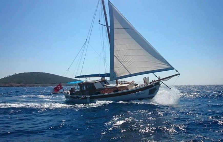 Akvaryum Turu