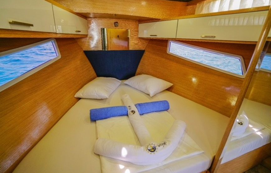 Bitez Özel Tekne Turu