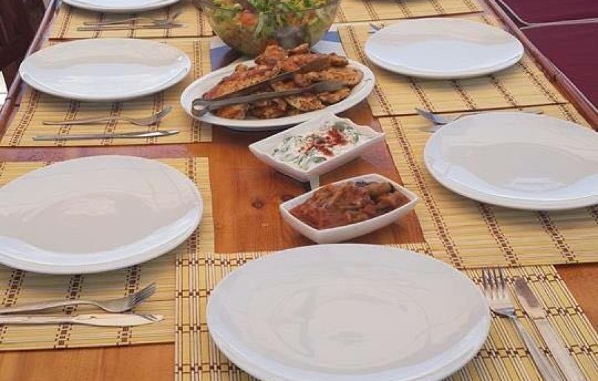 Gümbet Özel Tekne Turu
