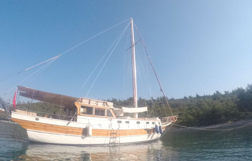 Gümbet Özel Tekne Turu