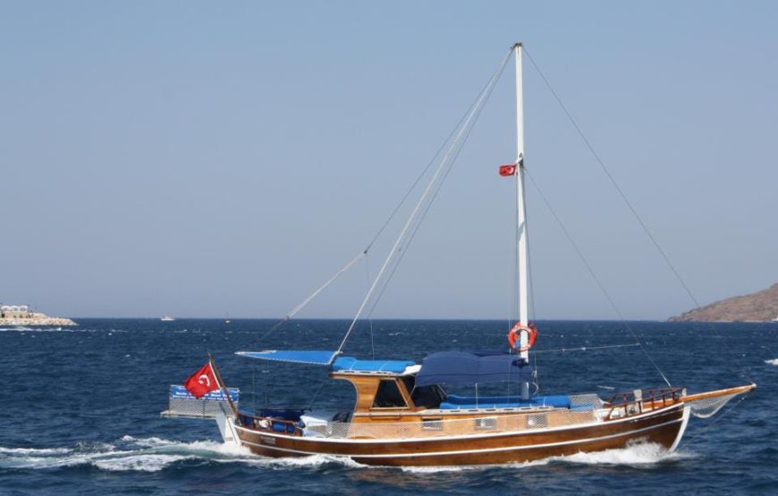Gümbet Özel Tekne Turu