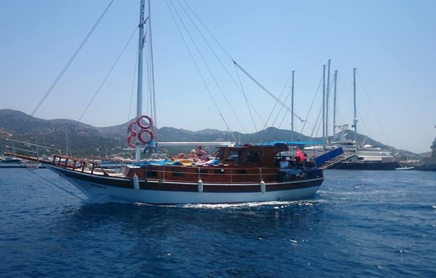 Akvaryum Turu