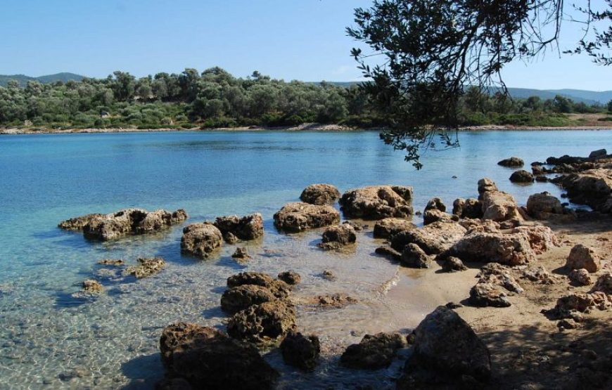 Turgutreis Özel Tekne Turu