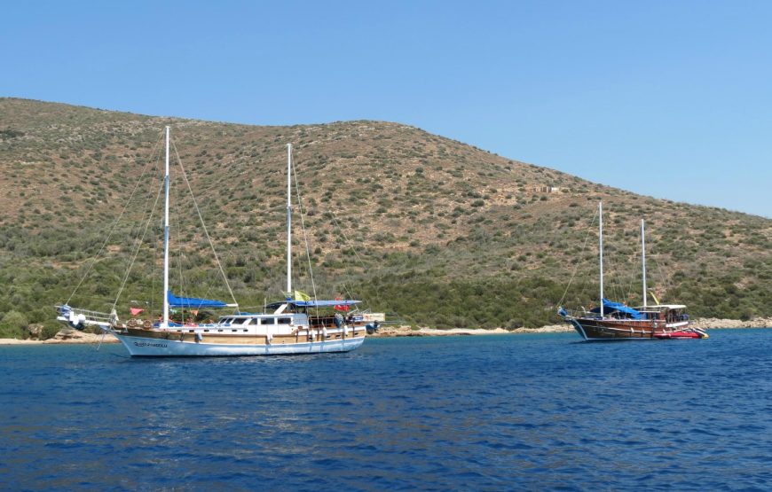 Bodrum Tekne Kiralama | Akvaryum Koyu Turu- Orak Adası – Poyraz Adası